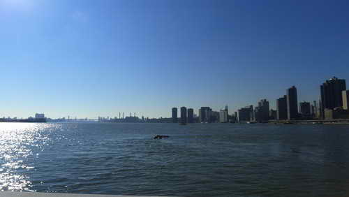 NYC_2012-11-17 11-27-35_P1070110